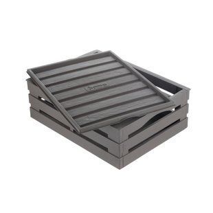Ящик для зберігання Tina Box з кришкою 41x31x15h сіро-бежевий 4001 фото